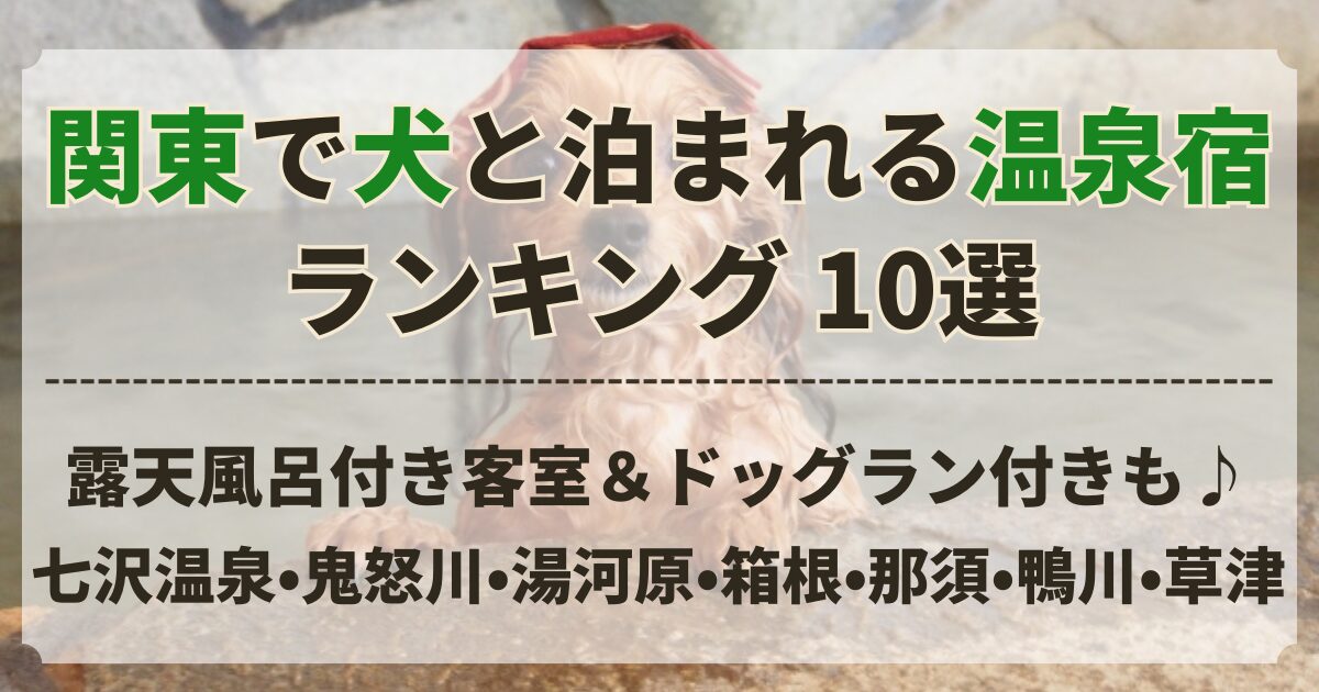 犬 と 泊まれる 温泉 宿 ランキング 関東