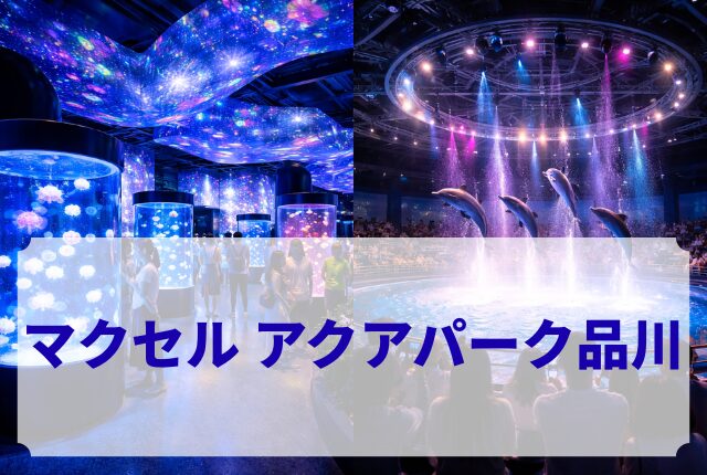 マクセル アクアパーク品川