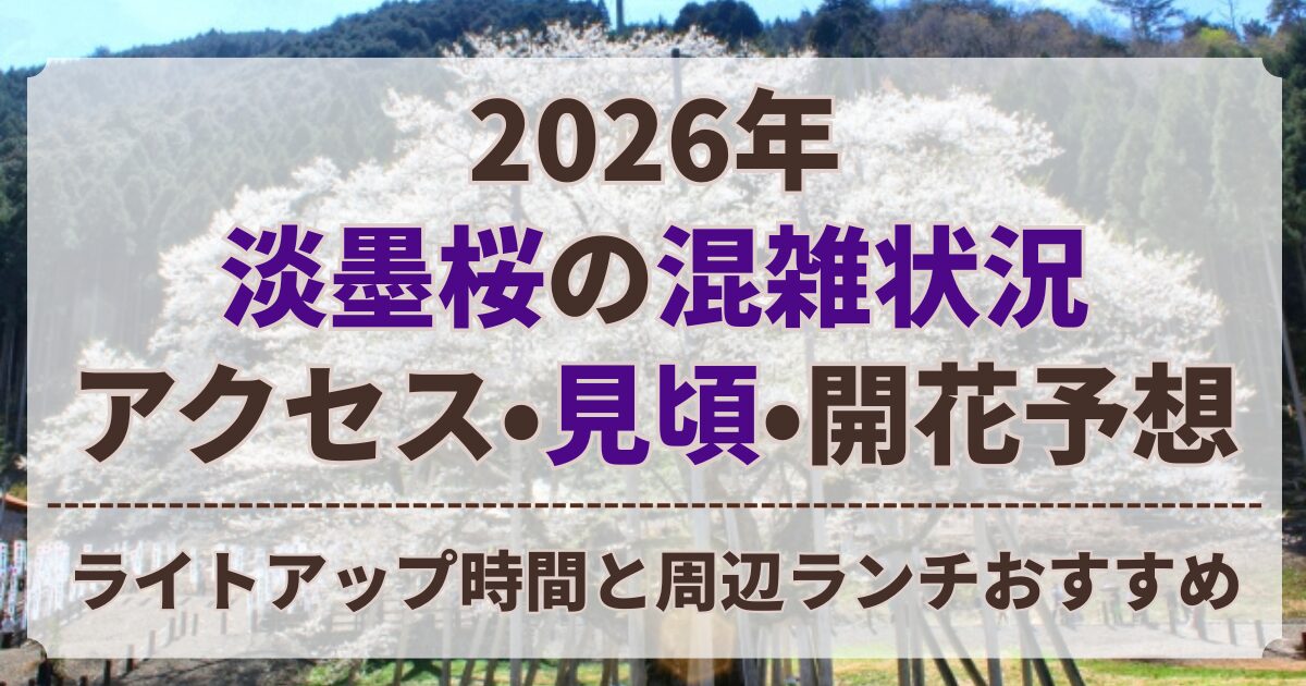 淡墨桜 混雑 状況