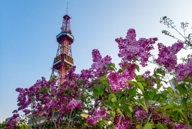 大通公園