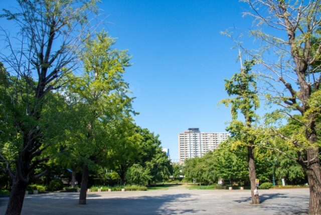 浜町公園