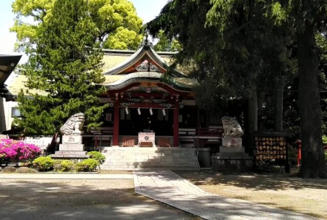 金町小学校裏〜葛西神社付近の土手