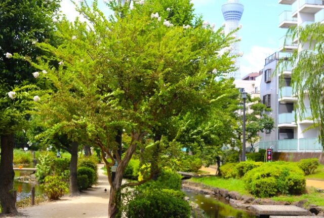 大横川親水公園