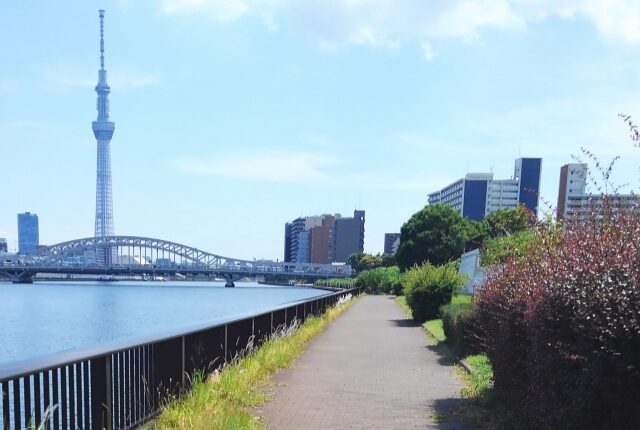 白鬚橋