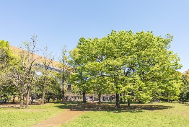 清澄公園