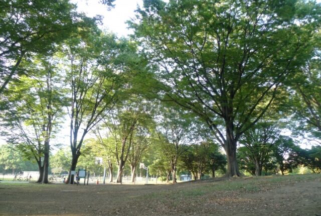 赤塚公園